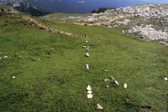 1 km Luftlinie, gehen, Schlernblut, 2000, Dolomitgestein, auf der Hochebene des Schlern, Südtirol, I